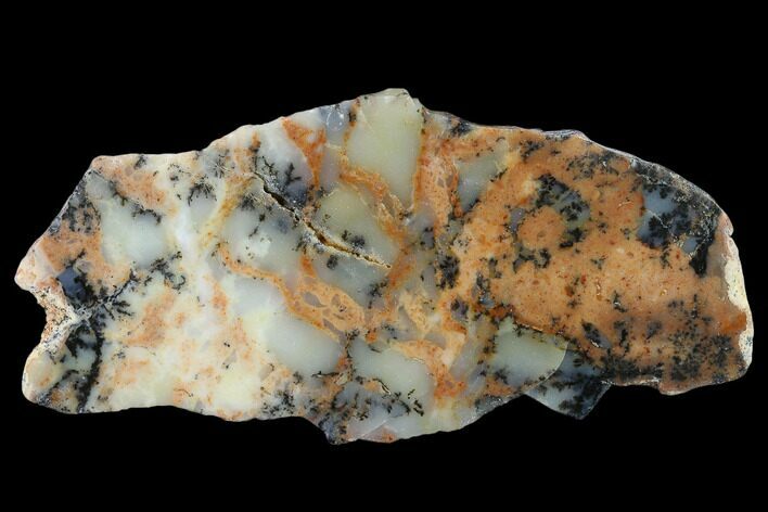 Polished Wanong Dendritic Opal Slab - Australia #132916